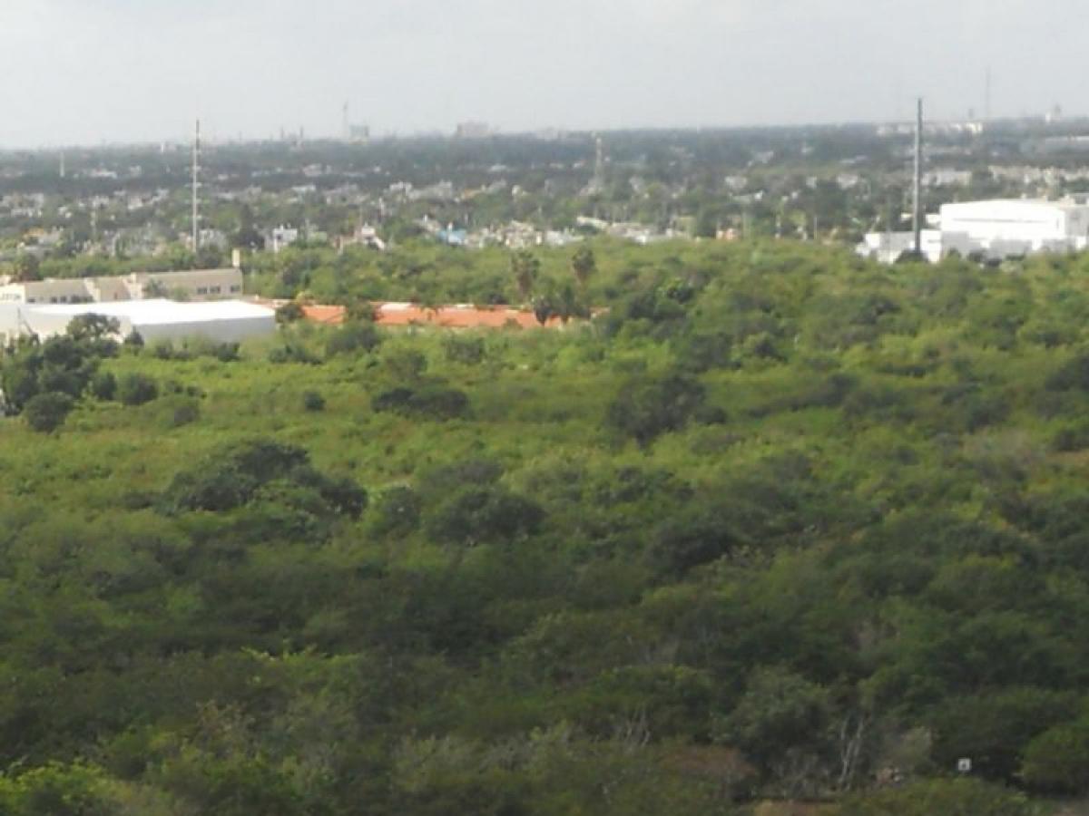 Terreno em Merida, Mexico N.º 99145
