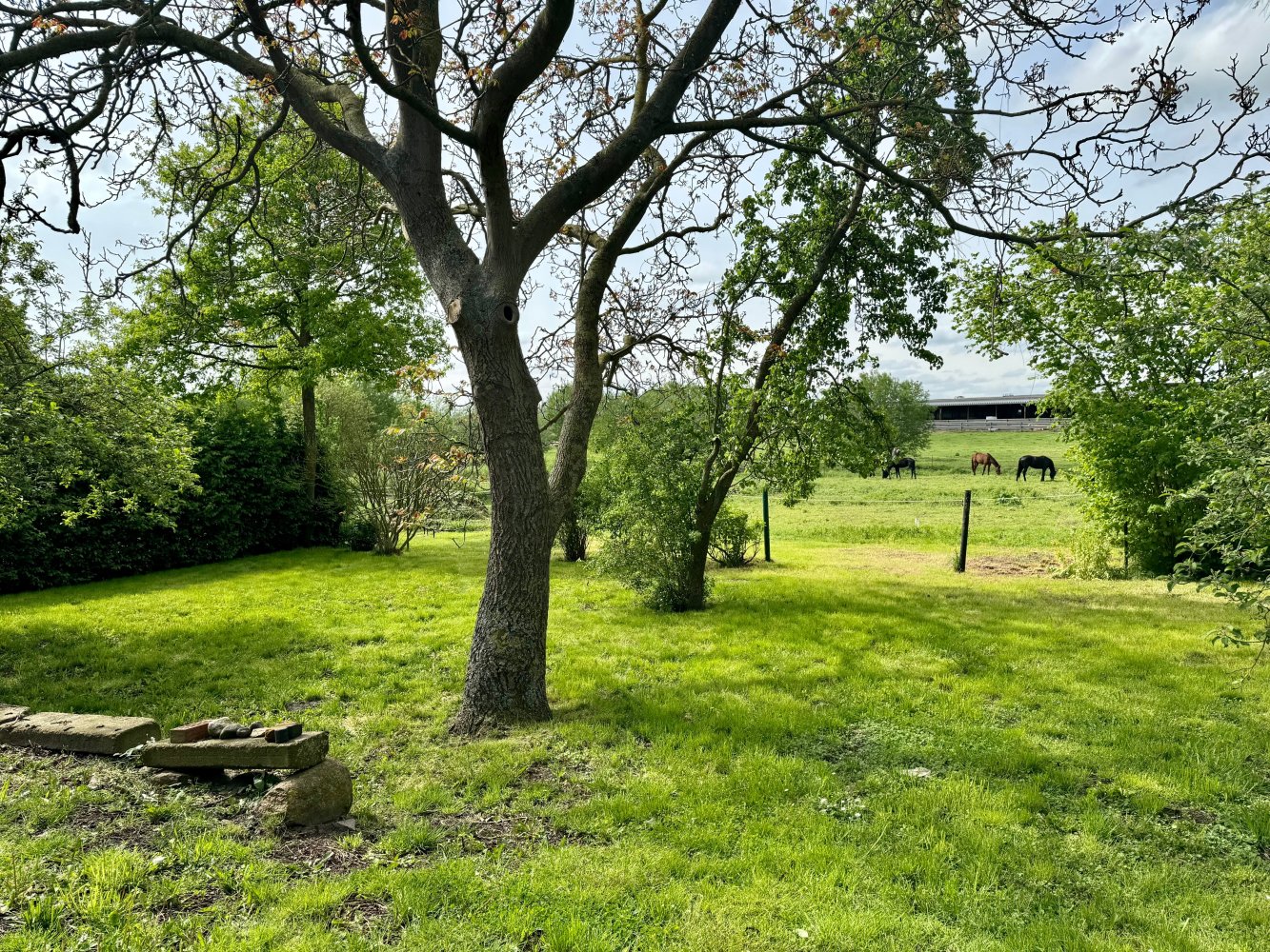 6غرفة تاون هاوس في Demmin, Germany رقم 176946