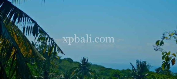 Terrain à Nusa Penida, Indonesia 3850m² No. 3821 7