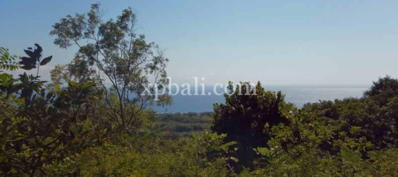 Terrain à Nusa Penida, Indonesia 3850m² No. 3821 2