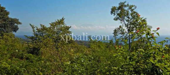 Terrain à Nusa Penida, Indonesia 3850m² No. 3821 3