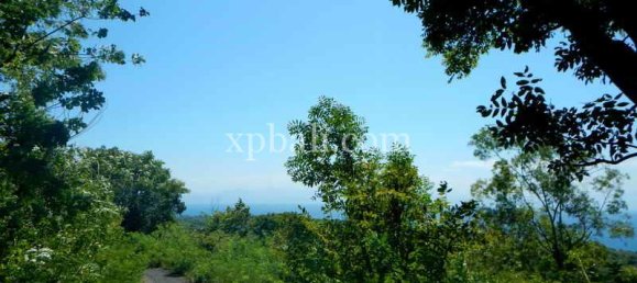 Terrain à Nusa Penida, Indonesia 3850m² No. 3821 9