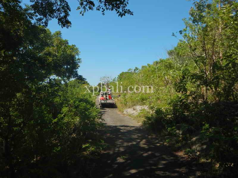 Terrain à Nusa Penida, Indonesia 3850m² No. 3821