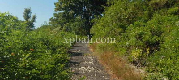 Terrain à Nusa Penida, Indonesia 3850m² No. 3821 4