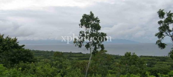 Terrain à Nusa Penida, Indonesia 3850m² No. 3821 6