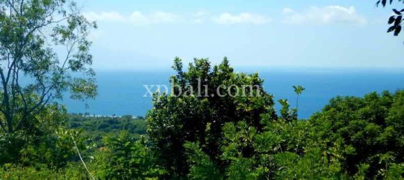 Terrain à Nusa Penida, Indonesia 3850m² No. 3821 8