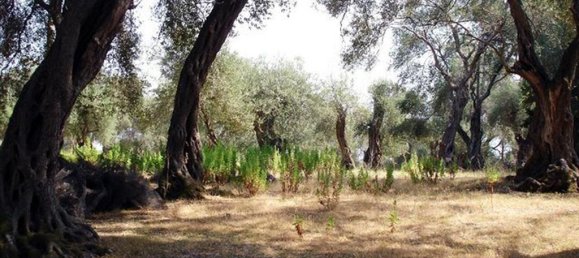 Hotel en Corfu, Greece 108000 m² No. 8020 10