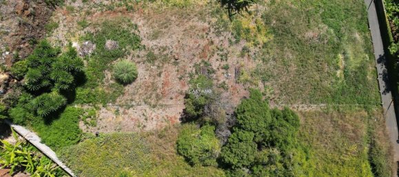 Terrain à Funchal, Portugal 1115m² No. 145724 4