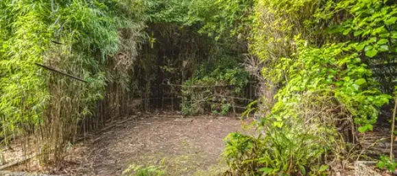 Apartamento de 4 dormitorios en Aachen, Germany No. 8020 5