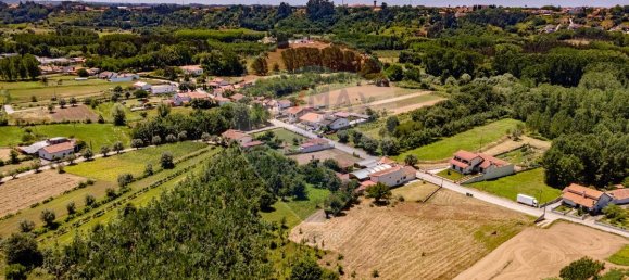 1 غرف نوم منزل في Sangalhos, Portugal رقم 187935 10