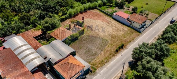 1 غرف نوم منزل في Sangalhos, Portugal رقم 187935 7