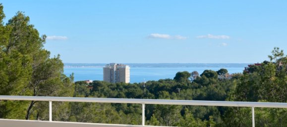 3 bedrooms Duplex in Mallorca, Spain No. 133359 31