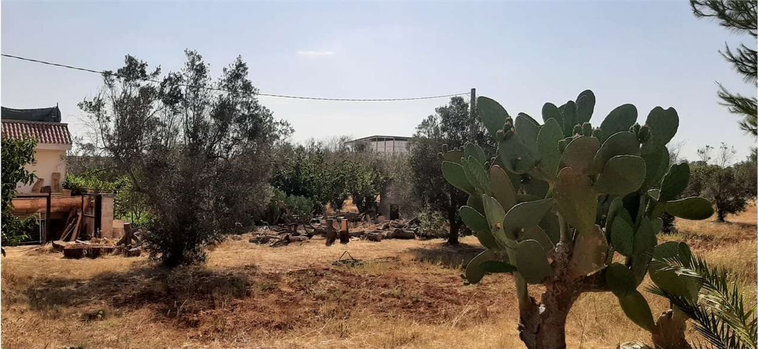  قطعة أرض في Tricase, Italy 3600متر مربع رقم 133845