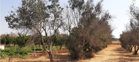 قطعة أرض في Tricase, Italy 3600متر مربع رقم 133845 6