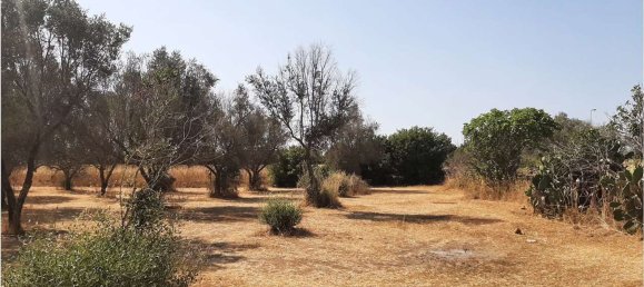 قطعة أرض في Tricase, Italy 3600متر مربع رقم 133845 9