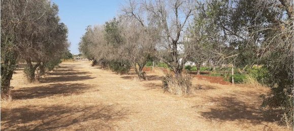 قطعة أرض في Tricase, Italy 3600متر مربع رقم 133845 2