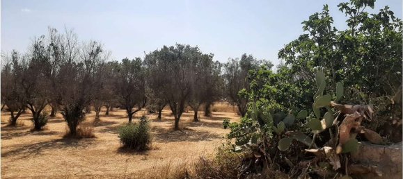 قطعة أرض في Tricase, Italy 3600متر مربع رقم 133845 7