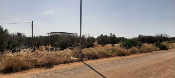 قطعة أرض في Tricase, Italy 3600متر مربع رقم 133845 4