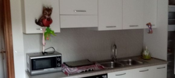 Villa de 5 dormitorios en Udine, Italy No. 319861 8