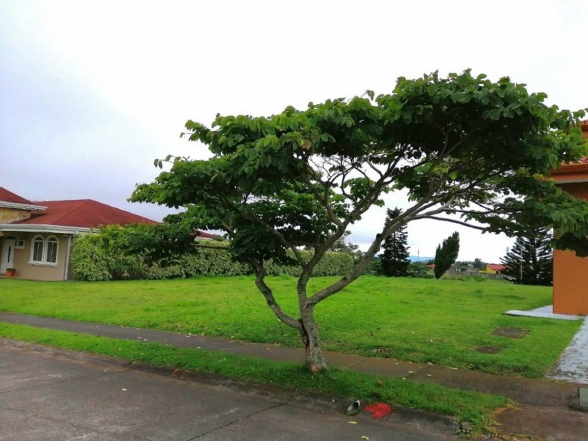 Land for sale in San Isidro, Heredia, Costa Rica № 1426