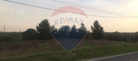 6350m² Land in Coruche, Portugal No. 90197 2