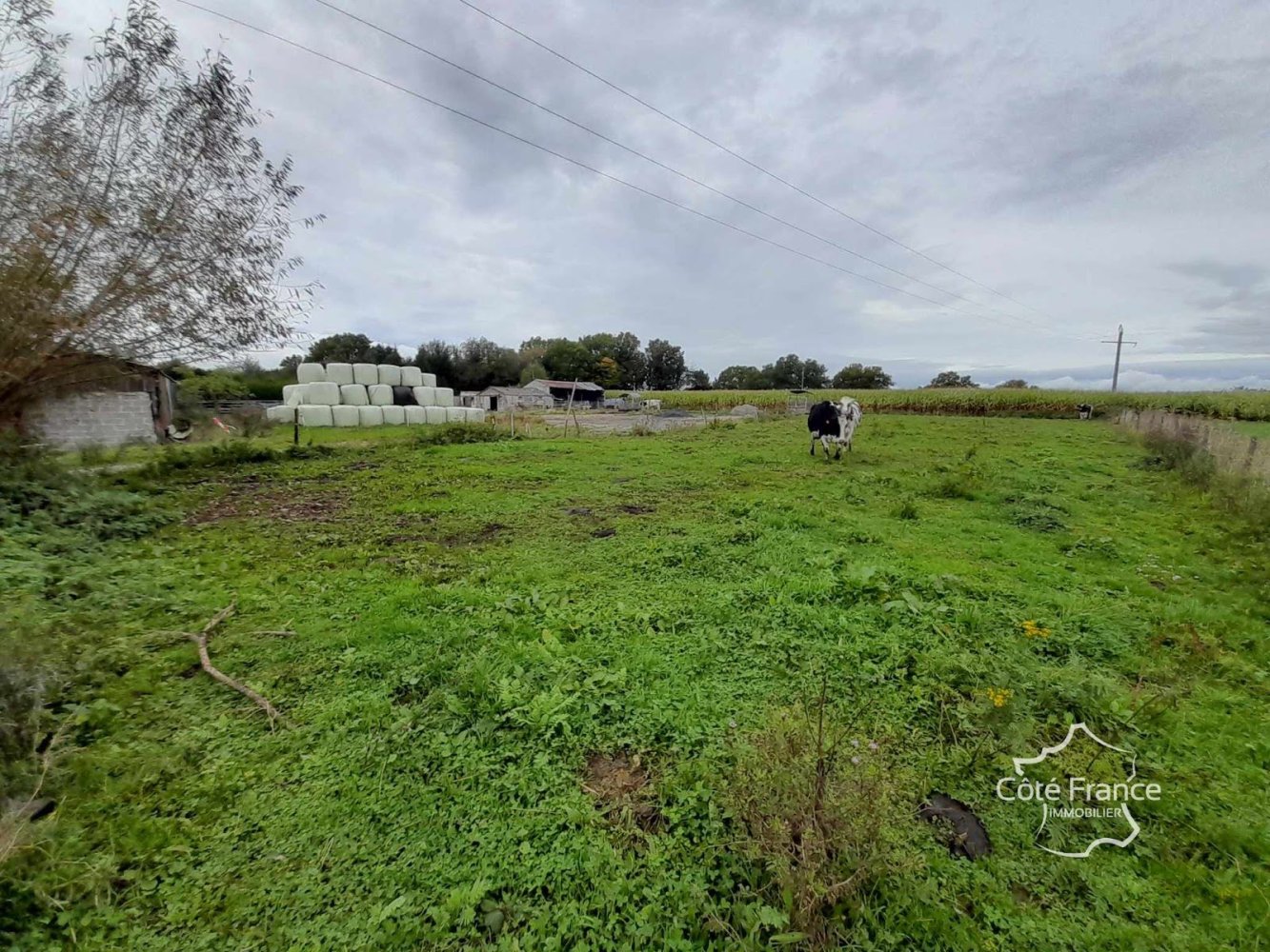 Terrain à Sars-Poteries, France 5907m² No. 224836