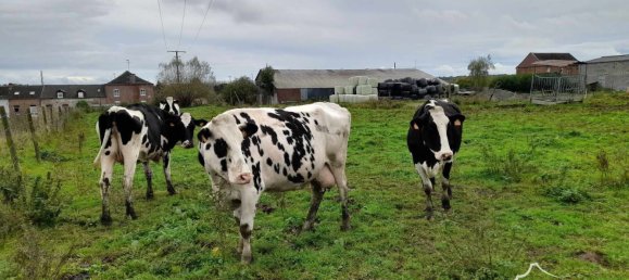 Terrain à Sars-Poteries, France 5907m² No. 224836 4