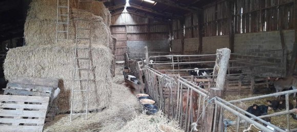 Terrain à Sars-Poteries, France 5907m² No. 224836 11