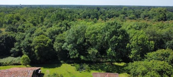 11 Schlafzimmer Haus in Saint-Paul-en-Born, France, Nr. 311993 10