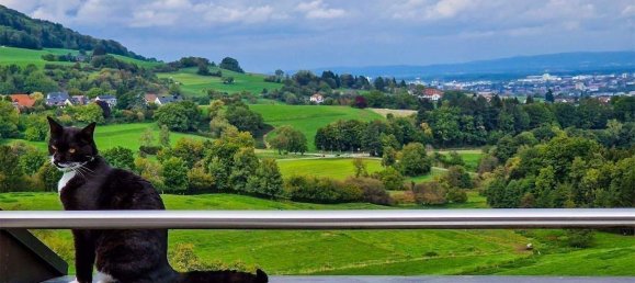 Terreno de 6 divisões em Breisgau-Hochschwarzwald, Germany N.º 274788 6