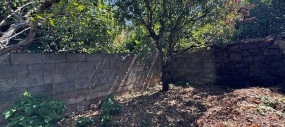 9 rooms House in Suni, Italy No. 290107 10