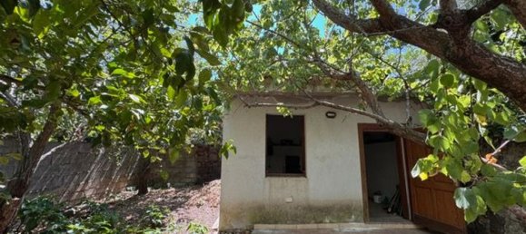 9 rooms House in Suni, Italy No. 290107 4