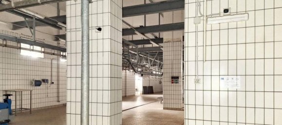 5غرفة مستودع في Ciminna, Italy رقم 162216 14