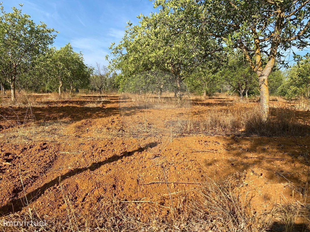 2100m² Land in Loule, Portugal No. 279111