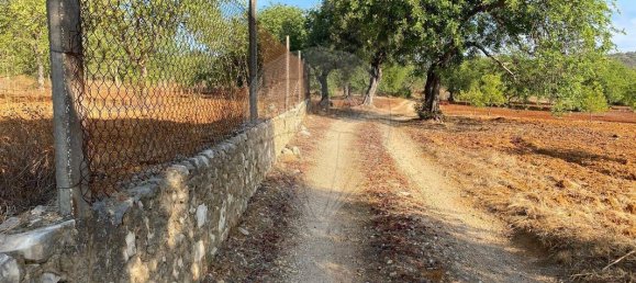 2100m² Land in Loule, Portugal No. 279111 2