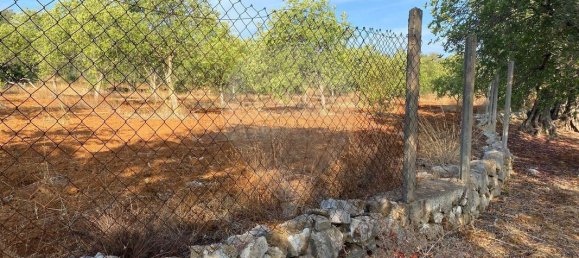 2100m² Land in Loule, Portugal No. 279111 4