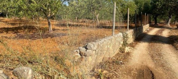 2100m² Land in Loule, Portugal No. 279111 5