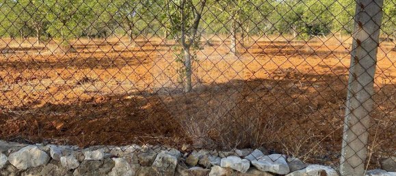 2100m² Land in Loule, Portugal No. 279111 3