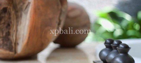 1 Schlafzimmer Villa in Seminyak, Indonesia, Nr. 3866 16