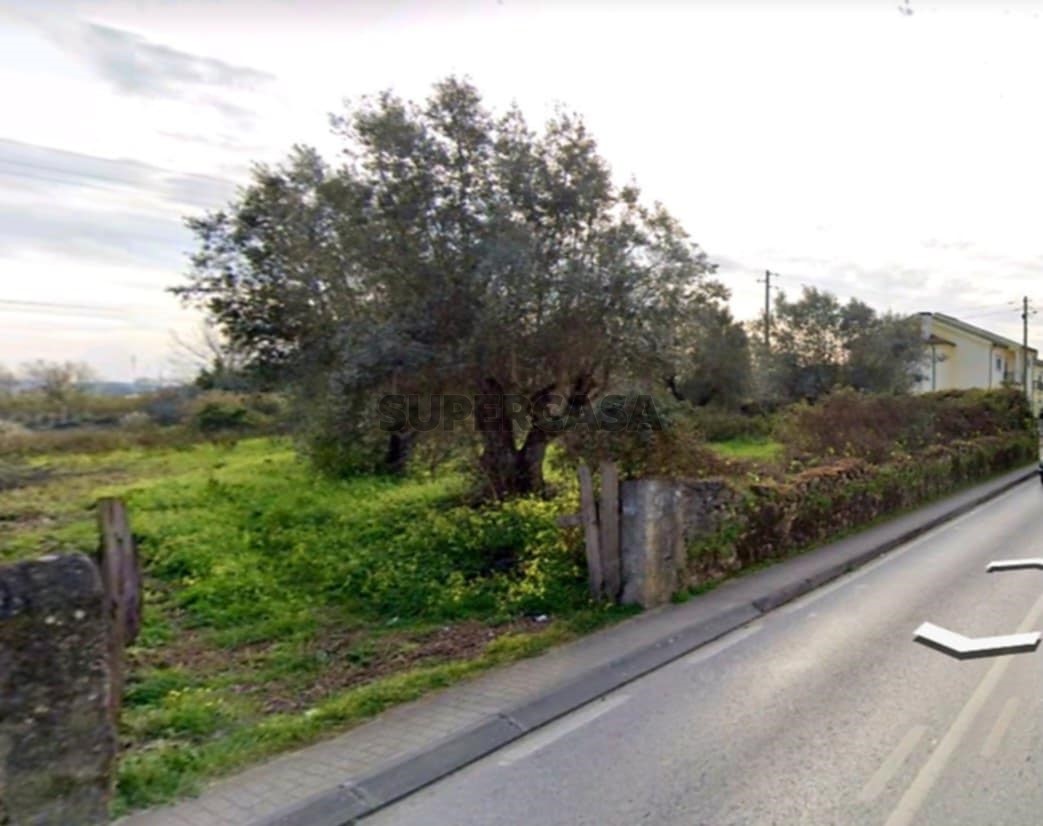  Land in Coimbra, Portugal No. 194917