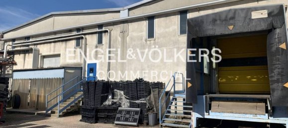 5 rooms Warehouse in Rozzano, Italy No. 69526 7