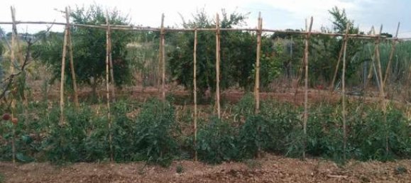 800m² Land in Castellon de la Plana, Spain No. 182489 3