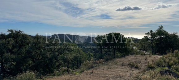 Земельный участок в Малага, Испания № 84560 13