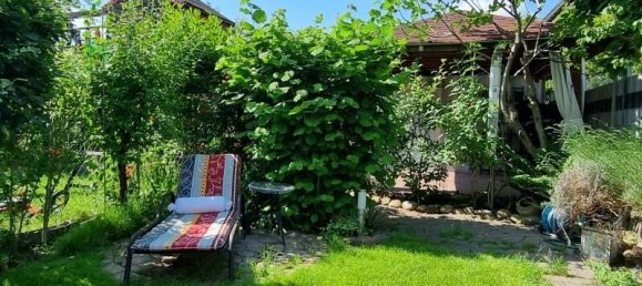 Таунхаус с 3 комнатами в Людвигсхафен, Германия № 305766 18