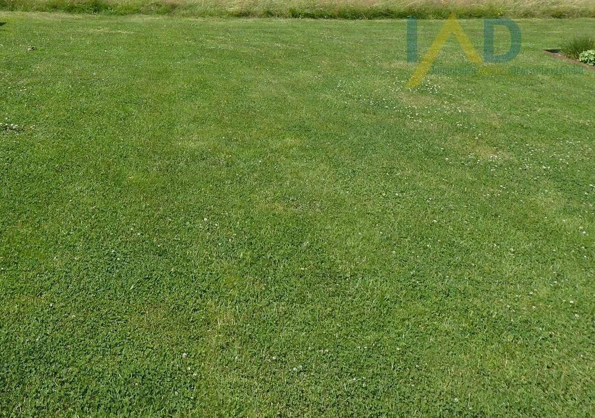  Land in Westerwaldkreis, Germany No. 63913