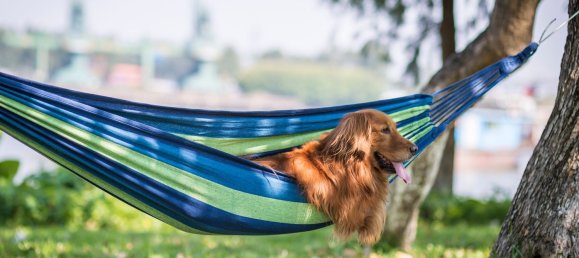 4-salle Appartement à Desenzano del Garda, Italy No. 335619 7