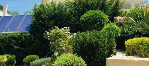 5 bedrooms Villa in Sea Caves, Cyprus No. 22720 23