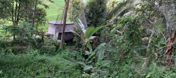 Terrain à Lovina, Indonesia 12000m² No. 4050 9