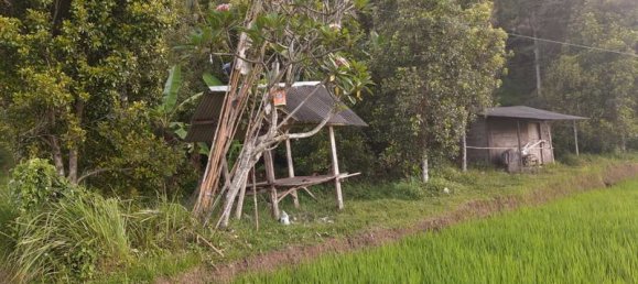 Terrain à Lovina, Indonesia 12000m² No. 4050 6