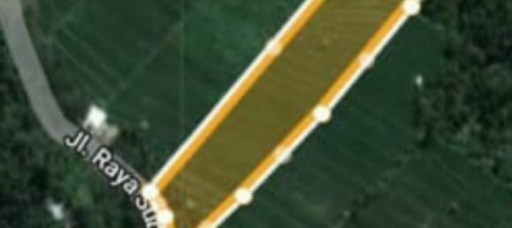 Terrain à Lovina, Indonesia 12000m² No. 4050 4